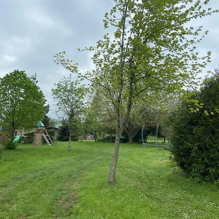 L'escapade De Tali Talizat