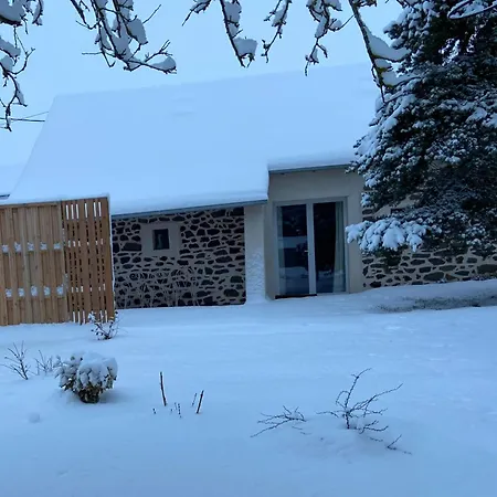 L'escapade De Tali Talizat